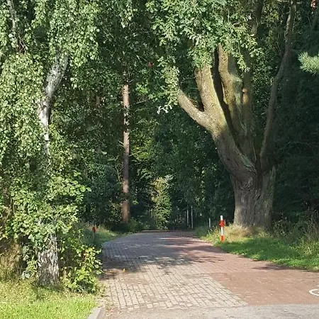 Gościnny Przewłoka Ustka