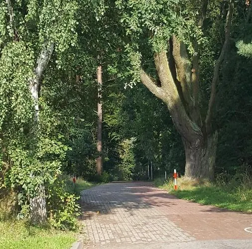 Goscinny Przewloka Ustka